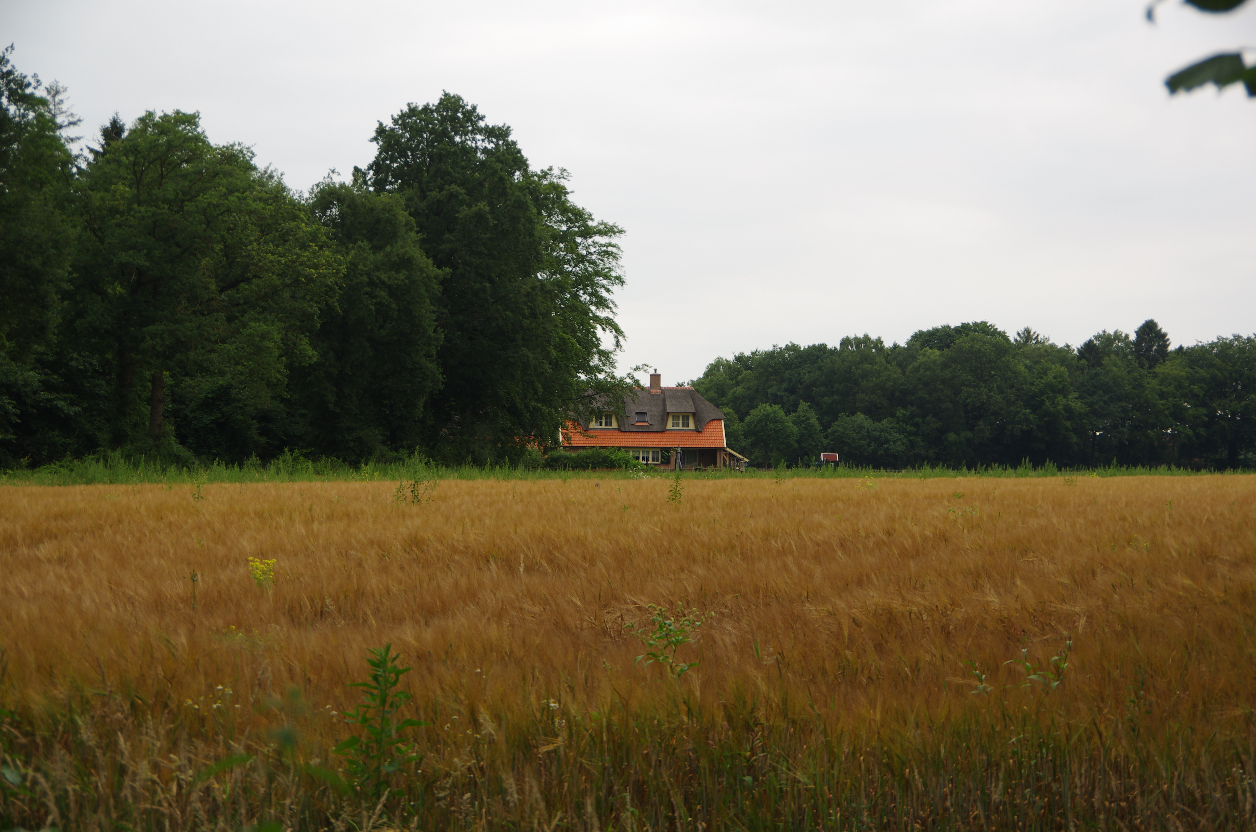 amateur, Landscape, House Wallpaper