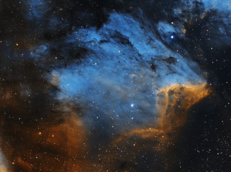 Pelican Nebula, Nebula, Space, Cygnus constellation HD Wallpaper Desktop Background