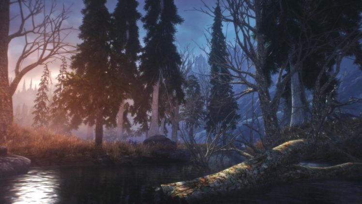The Elder Scrolls V: Skyrim, Landscape, Pine trees, The Elder Scrolls HD Wallpaper Desktop Background