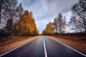 road, Trees, Fall