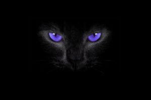 smoky eyes, Cat eyes, Simple background, Cat, Black cats