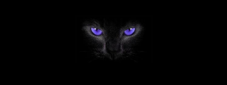 smoky eyes, Cat eyes, Simple background, Cat, Black cats HD Wallpaper Desktop Background