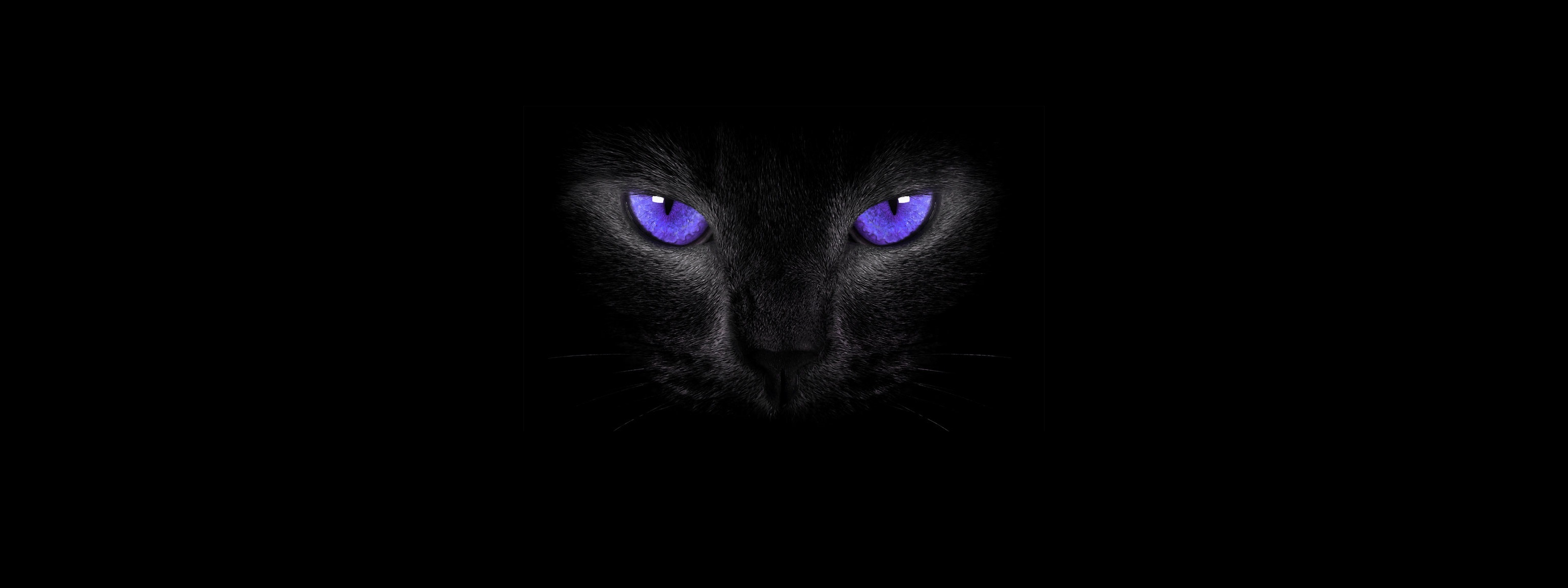 smoky eyes, Cat eyes, Simple background, Cat, Black cats Wallpaper