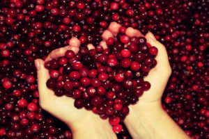 hands, Fingers, Fruit, Cranberries, Red