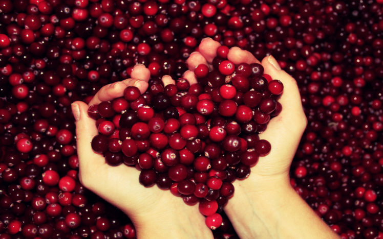 hands, Fingers, Fruit, Cranberries, Red HD Wallpaper Desktop Background