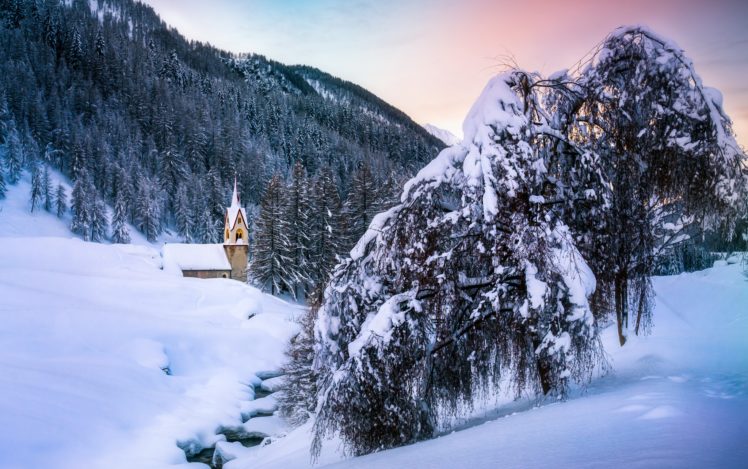 trees, Nature, Winter, Snow, Mountains HD Wallpaper Desktop Background