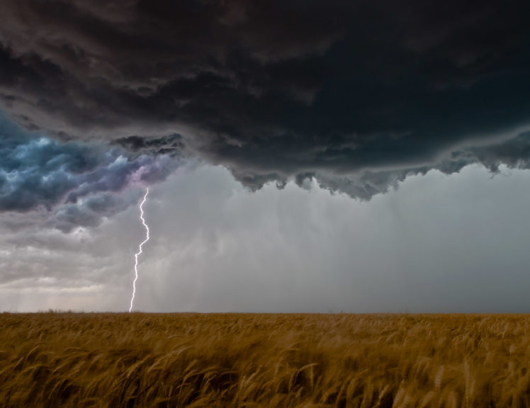 Lightning And Wheat Field   Elmer, Oklahoma HD Wallpaper Desktop Background