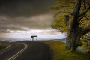 road, Sky, Trees