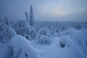 Finland, Nature, Snow, Winter