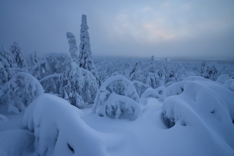 Finland, Nature, Snow, Winter HD Wallpaper Desktop Background