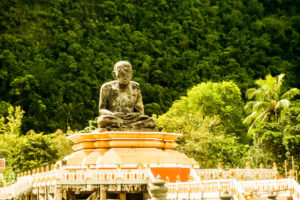 Buddha, Krabi, Jungle