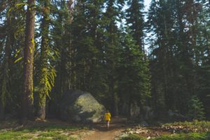 Jake Hinds, Women outdoors, Back, Walking, Landscape, Nature, Photography, USA, North America, Yosemite Valley, Forest, Trees, Rock, Path, Tree stump