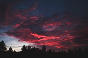 Spencer Watson, Sky, Forest, Colorful, Sunset, Dark, Nature, Landscape