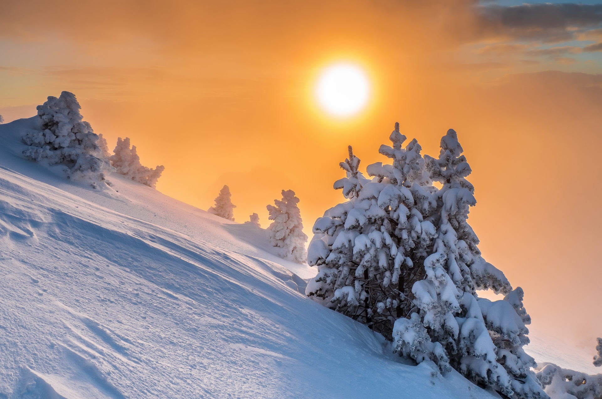 snow, Winter, Sun, Nature Wallpaper