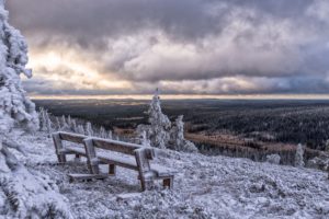 bench, Finland, Sun, Clouds, Winter, Snow, Forest