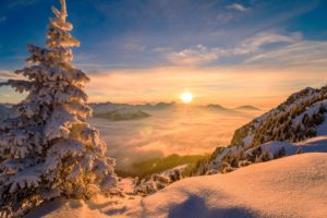 nature, Sun, Winter, Pine trees, Trees, Snow, Mountains, Mist, Sunrise