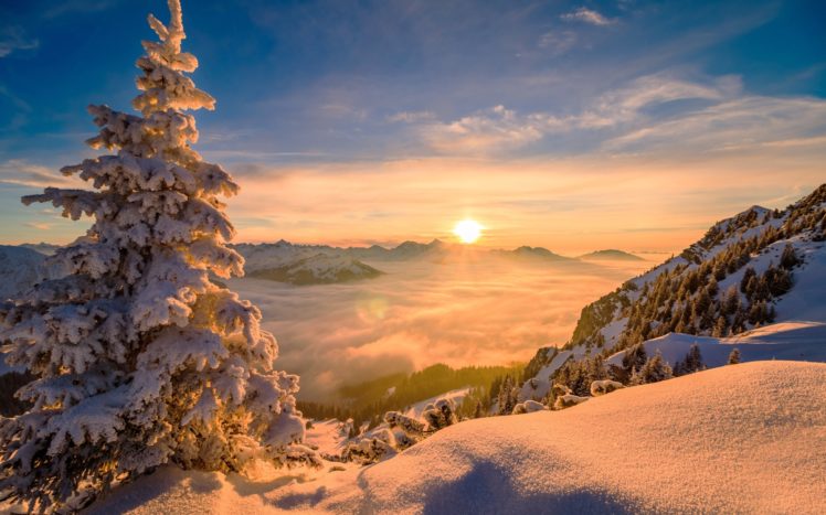 nature, Sun, Winter, Pine trees, Trees, Snow, Mountains, Mist, Sunrise HD Wallpaper Desktop Background