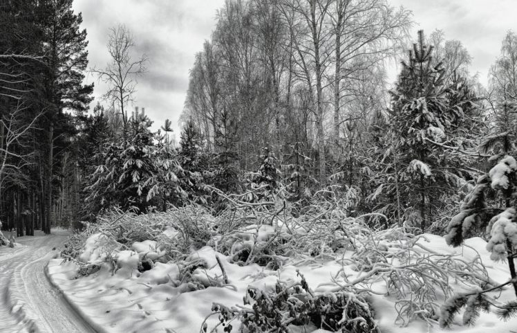 snow, Landscape, Nature, Trees, Winter HD Wallpaper Desktop Background