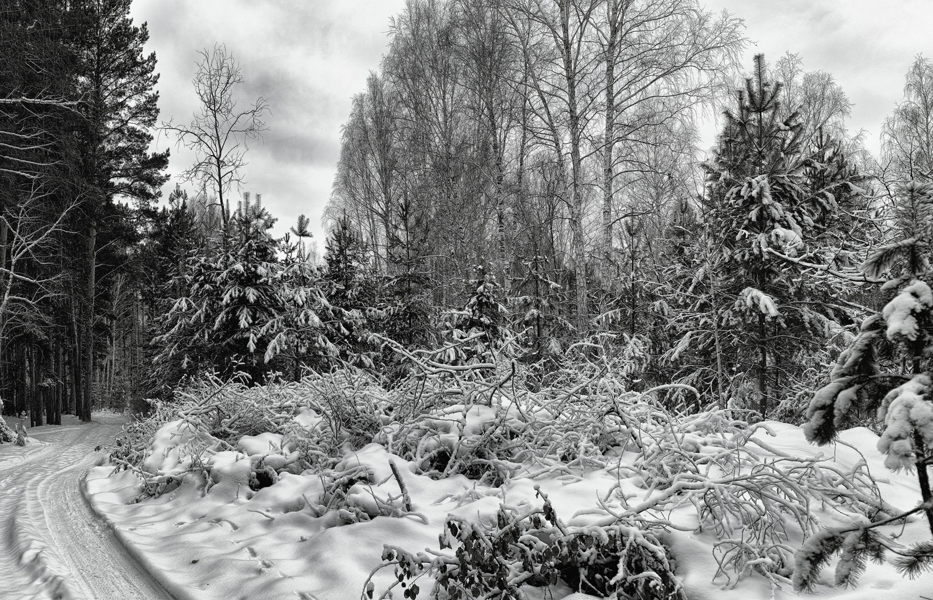 snow, Landscape, Nature, Trees, Winter Wallpaper