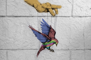 birds, Colorful, Puppets, Freedom