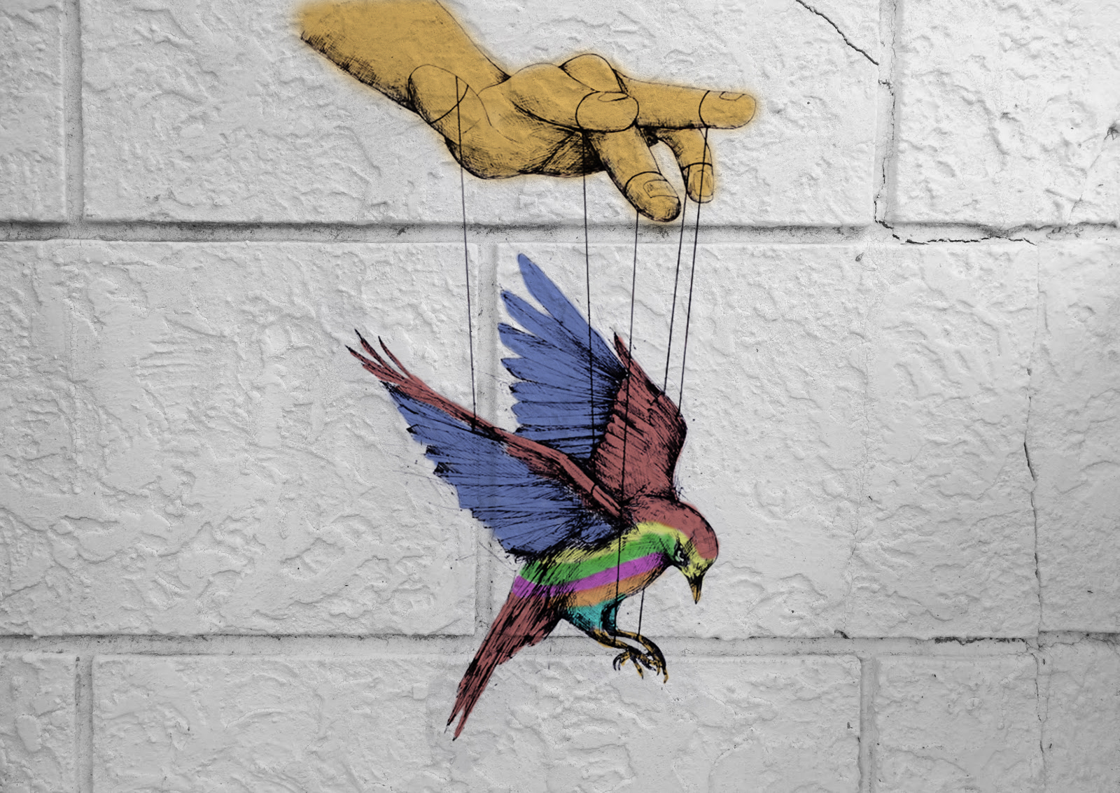 birds, Colorful, Puppets, Freedom Wallpaper