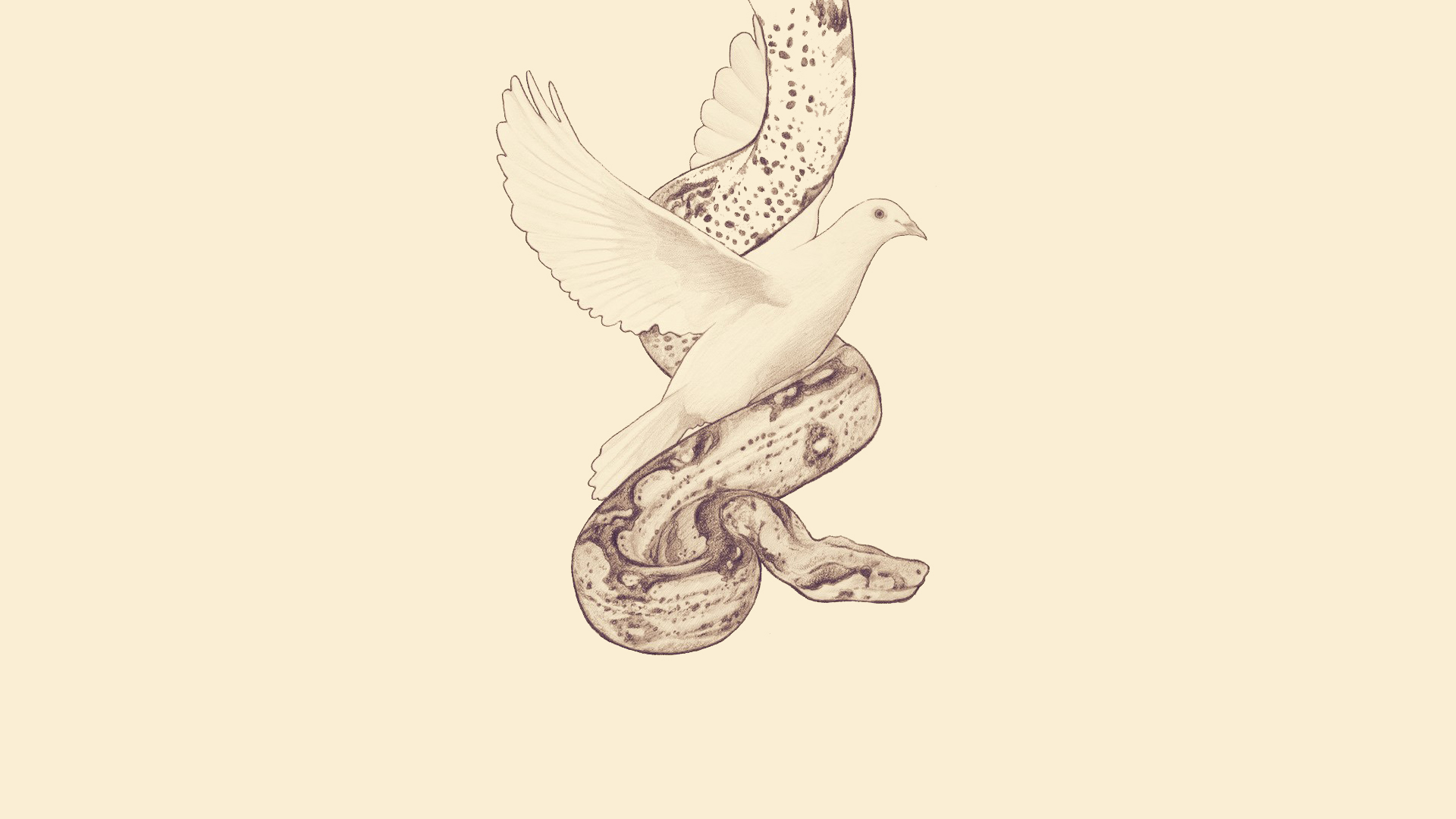 dove, Serpent, Mythology Wallpaper
