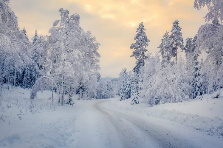 snow, Winter, Landscape, Trees HD Wallpaper Desktop Background