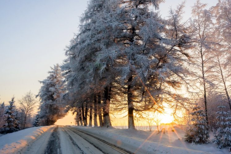 winter, Road, Trees, Sunlight HD Wallpaper Desktop Background