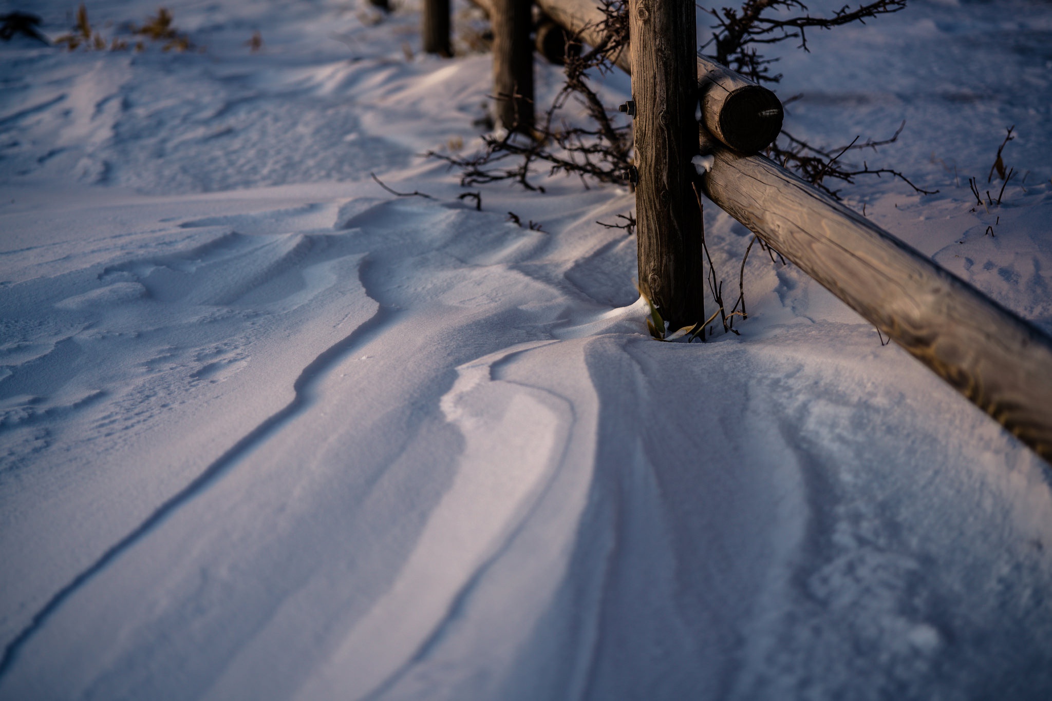 winter, Snow, Fence, Depth of field Wallpaper