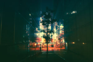 Japan, Night, Neon, Masashi Wakui