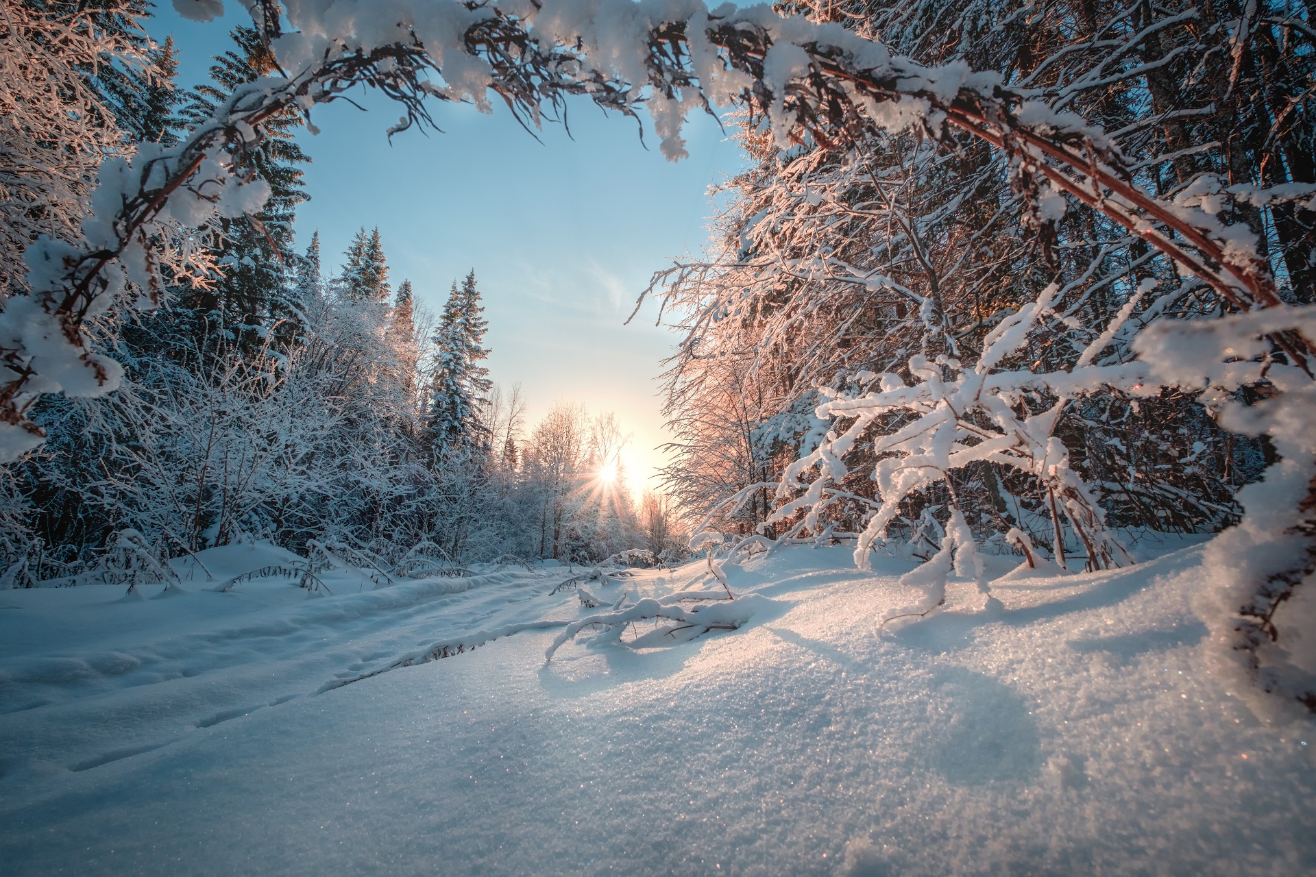 snow, Winter, Nature, Landscape Wallpapers HD / Desktop and Mobile