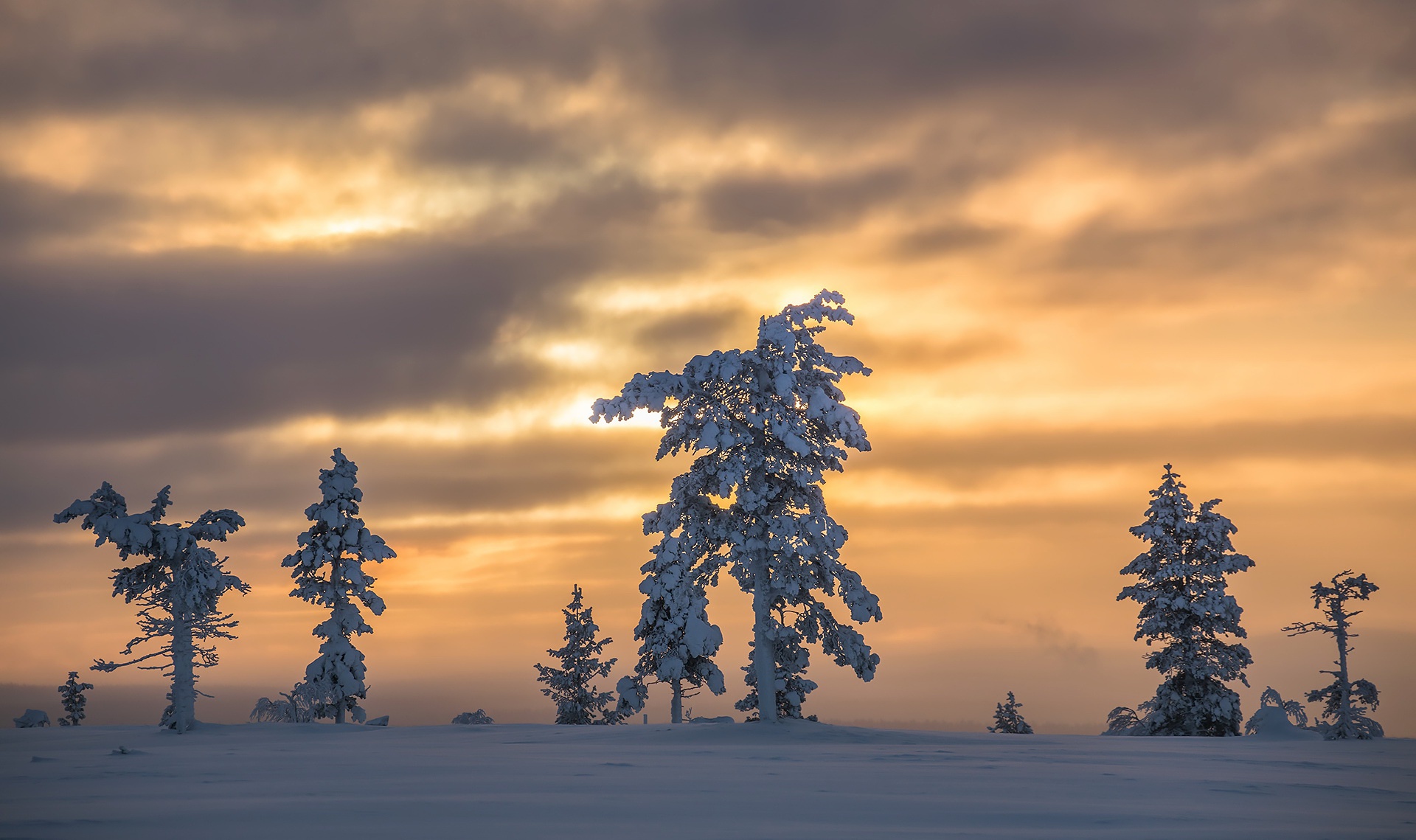 sky, Nature, Winter, Trees Wallpaper