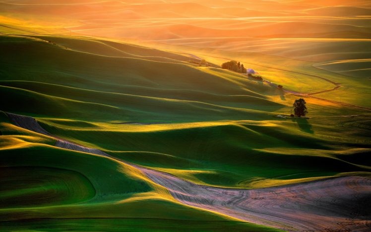 landscape, Green, Sunlight HD Wallpaper Desktop Background