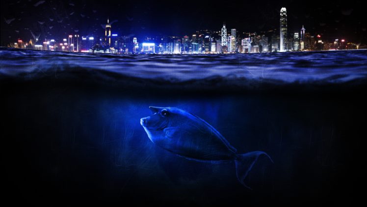 city, Night, Fish HD Wallpaper Desktop Background