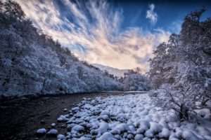 nature, Blue, Snow, Trees, Landscape, Winter