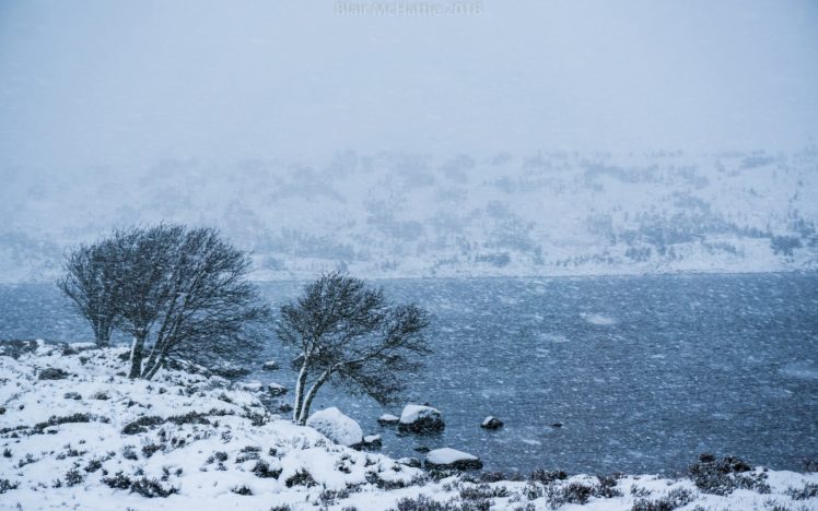 snow, Cold, Winter, Nature HD Wallpaper Desktop Background