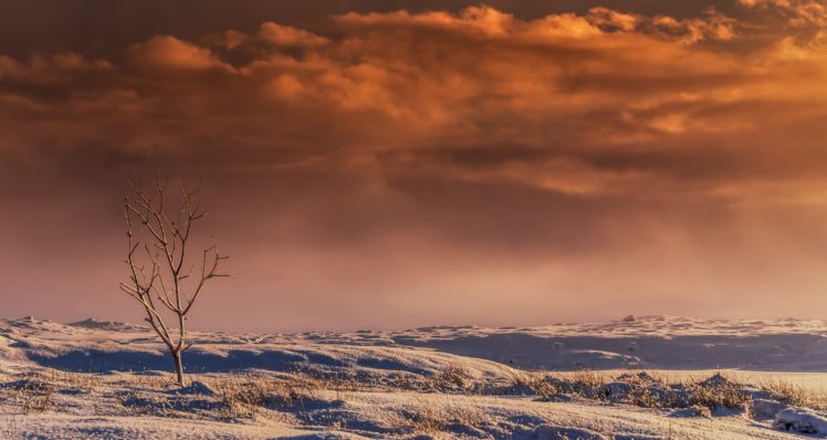 nature, Sky, Landscape, Snow HD Wallpaper Desktop Background