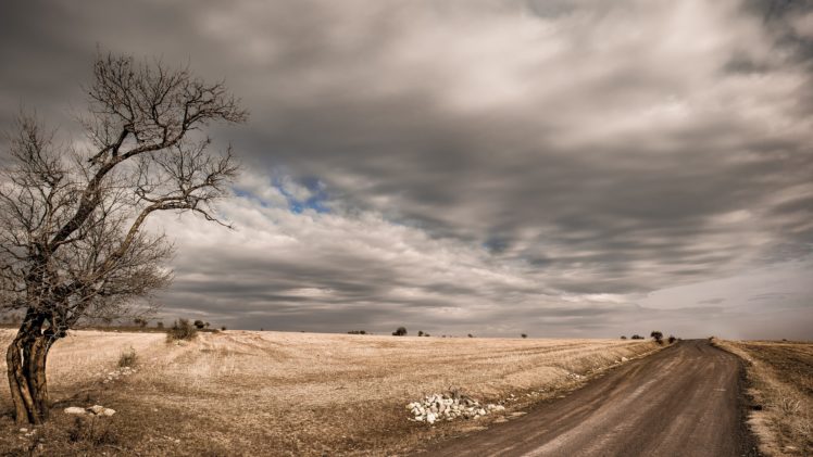 nature, Sky, Landscape, Dirt road HD Wallpaper Desktop Background