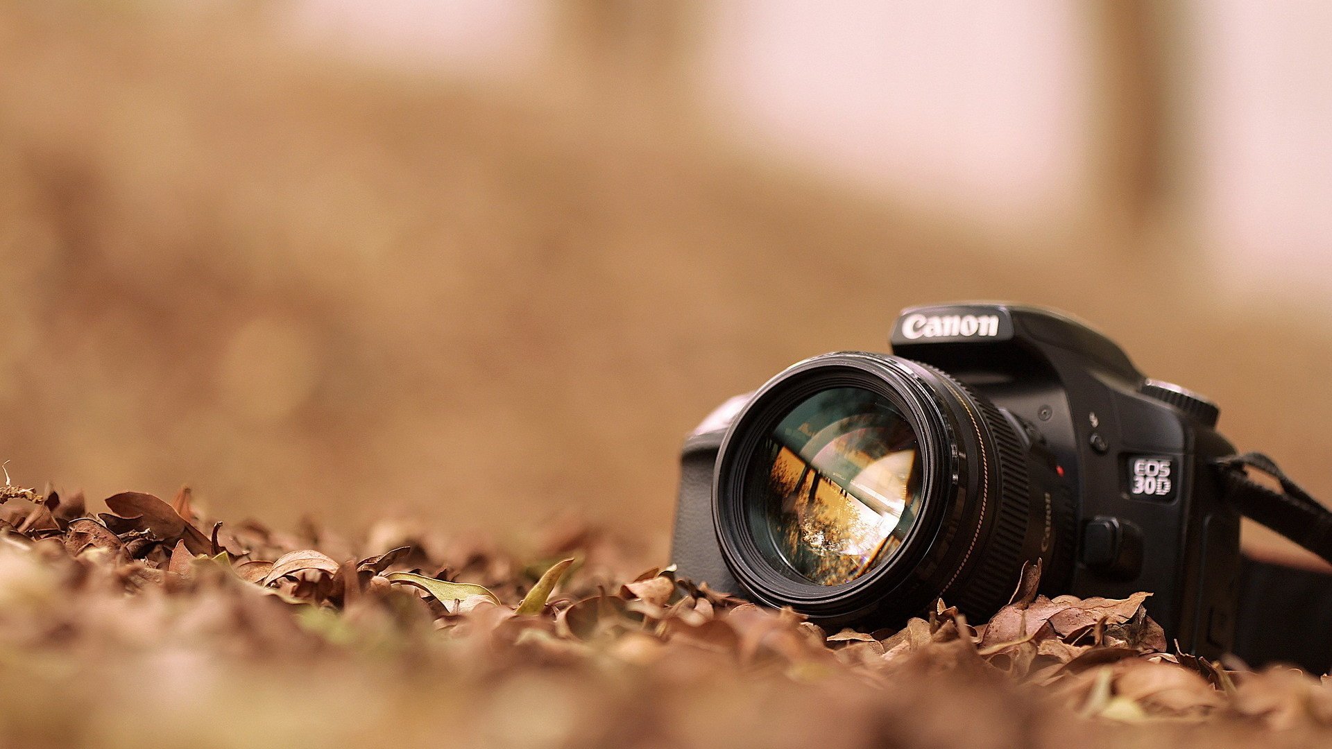 camera, Canon, Fall, Leaves Wallpaper