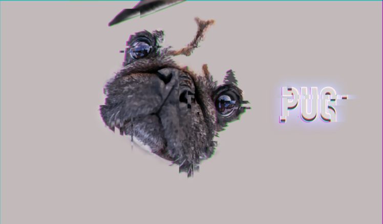 pug, Glitch art, Minimalism, Dog HD Wallpaper Desktop Background