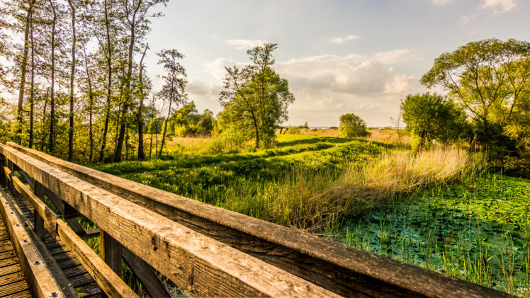 nature, Landscape, Bridge, HDR, Sky, Dynamic, Pond, Lake, Trees HD Wallpaper Desktop Background