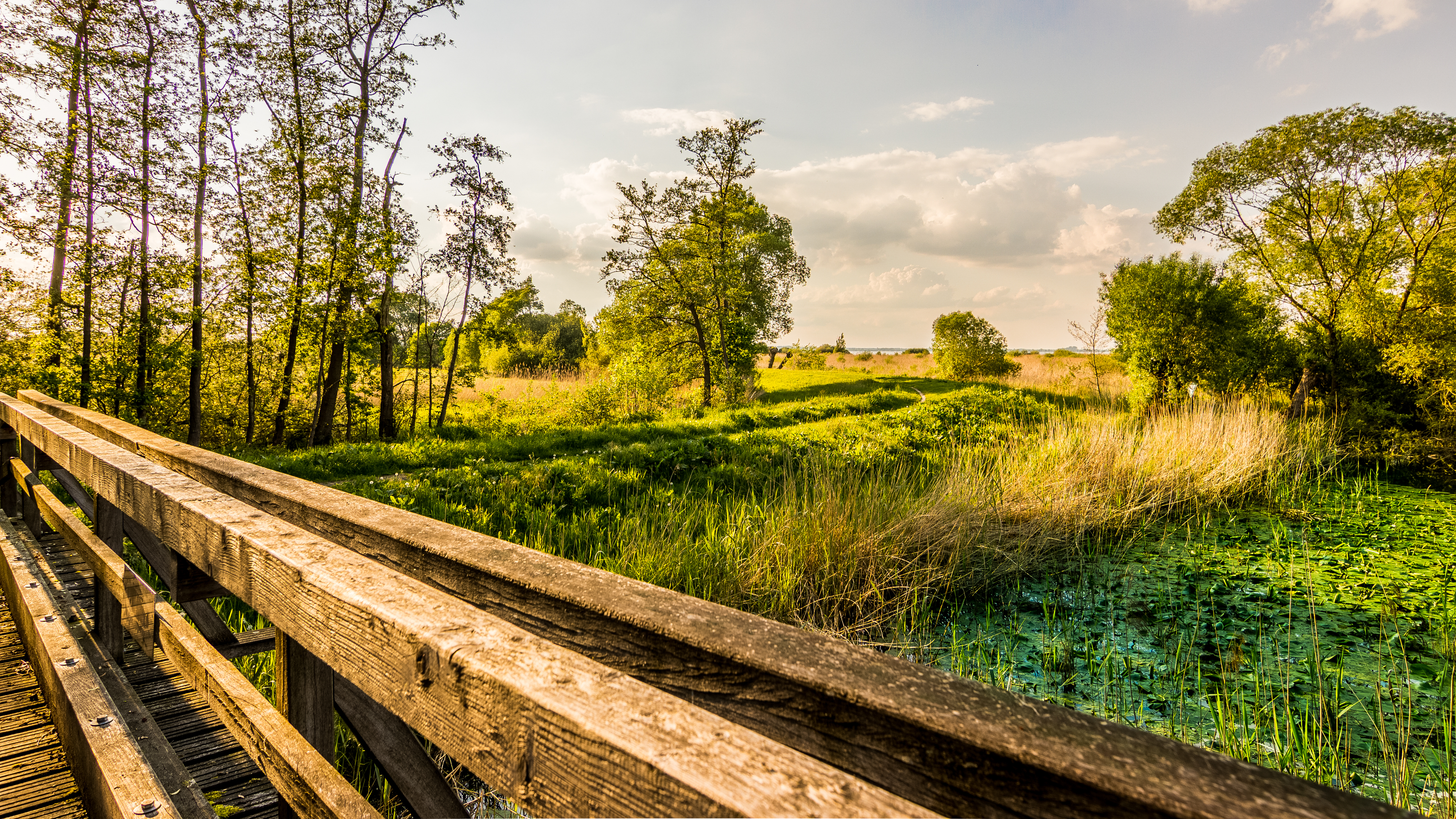 nature, Landscape, Bridge, HDR, Sky, Dynamic, Pond, Lake, Trees Wallpaper