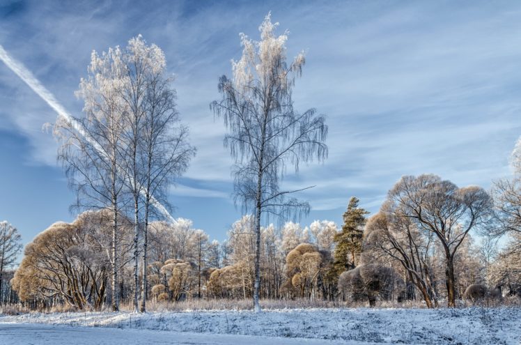 nature, Winter, Trees, Snow, Contrails HD Wallpaper Desktop Background