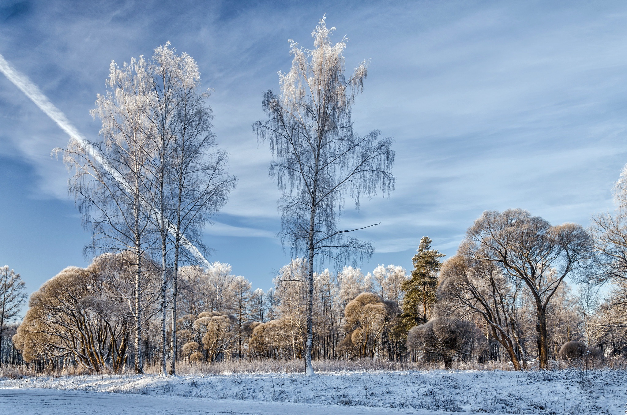 nature, Winter, Trees, Snow, Contrails Wallpaper