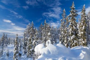Sweden, Winter, White, Blue, Nature, Snow, Trees