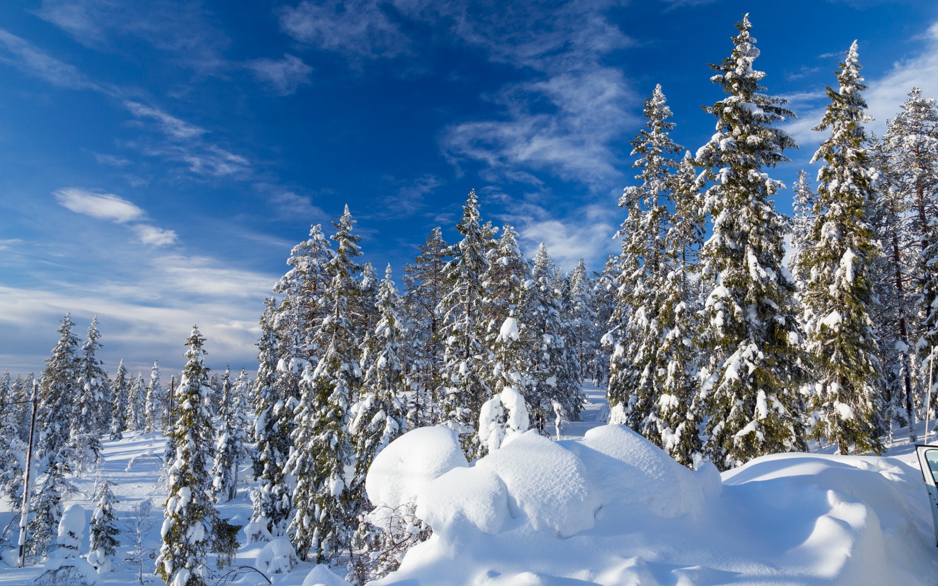 Sweden, Winter, White, Blue, Nature, Snow, Trees Wallpaper