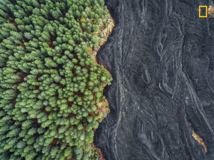 Solidified Lava Vs Forest HD Wallpaper Desktop Background