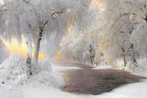 photography, Finland, Snow, Ice, Landscape