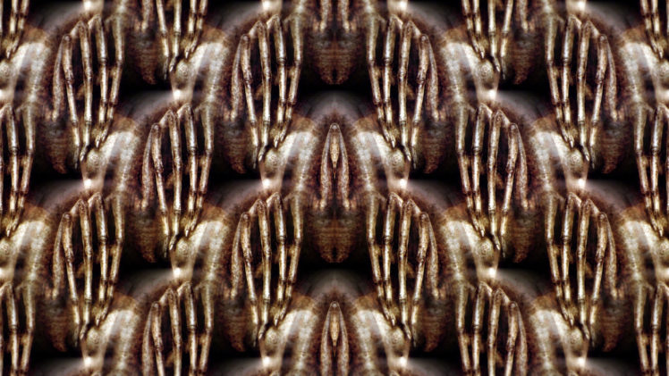 H. R. Giger, Symmetry, Pattern HD Wallpaper Desktop Background