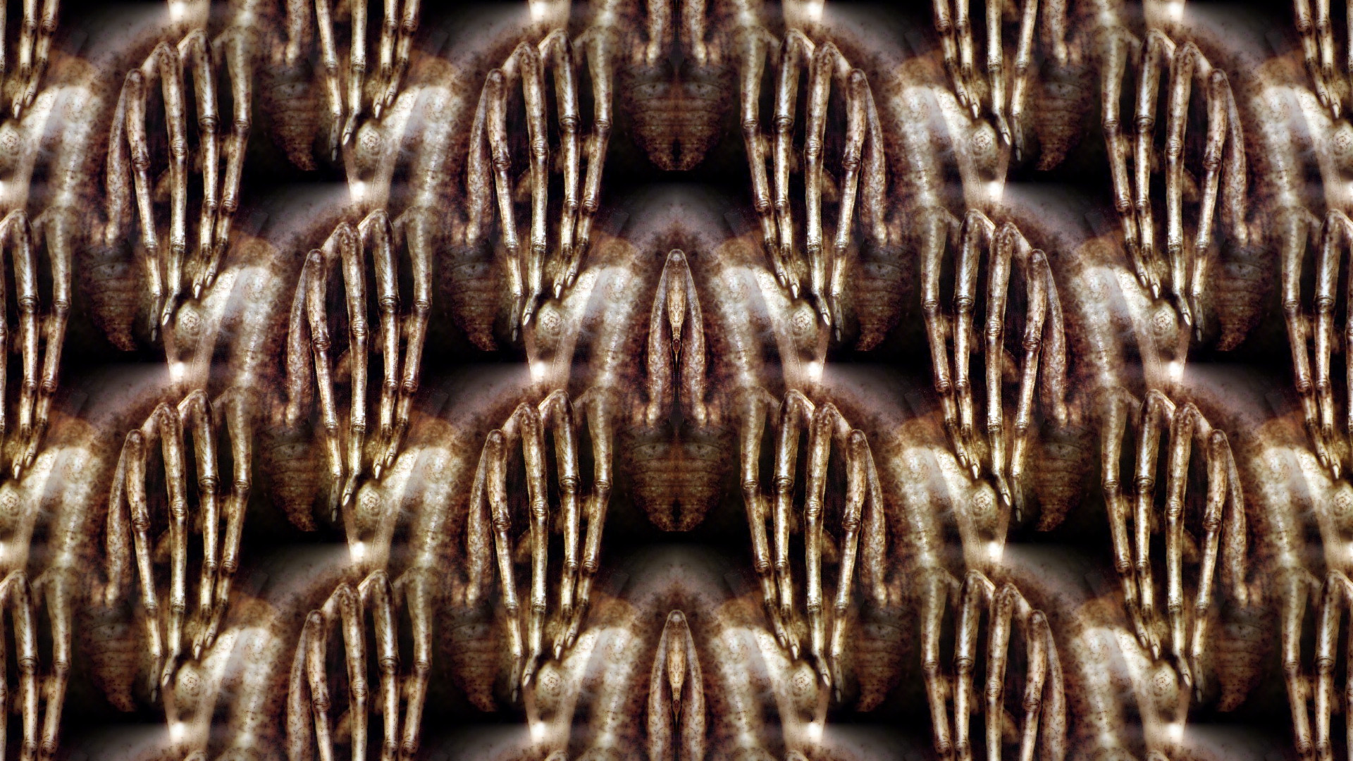 H. R. Giger, Symmetry, Pattern Wallpaper